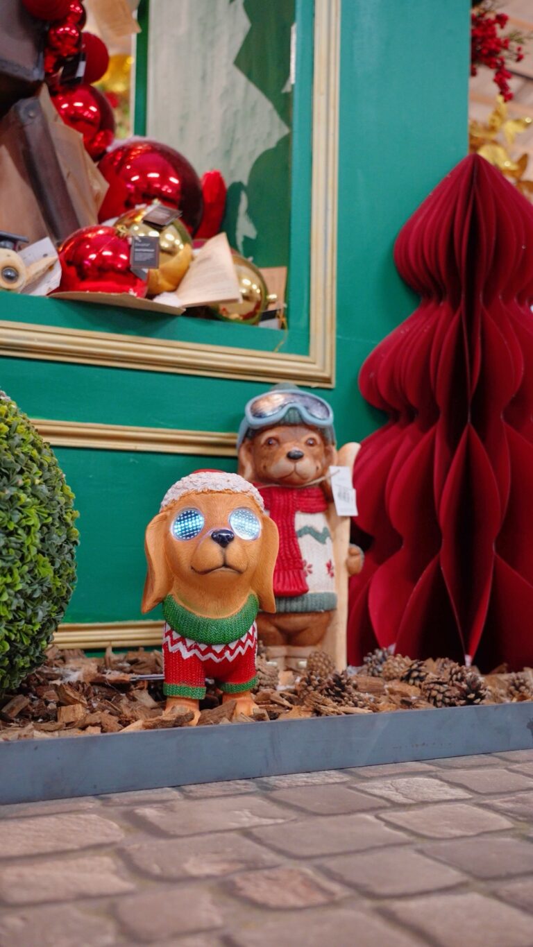 Décoration de Noël chez Tropic Plantes à Caveirac