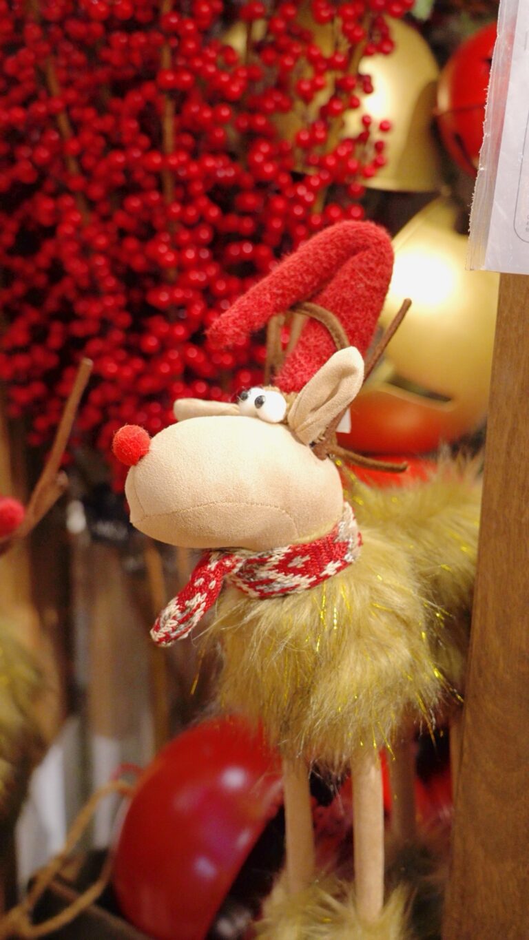 Décoration de Noël chez Tropic Plantes à Caveirac