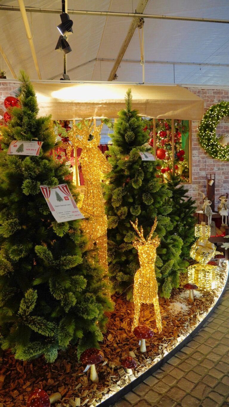 Décoration de Noël chez Tropic Plantes à Caveirac