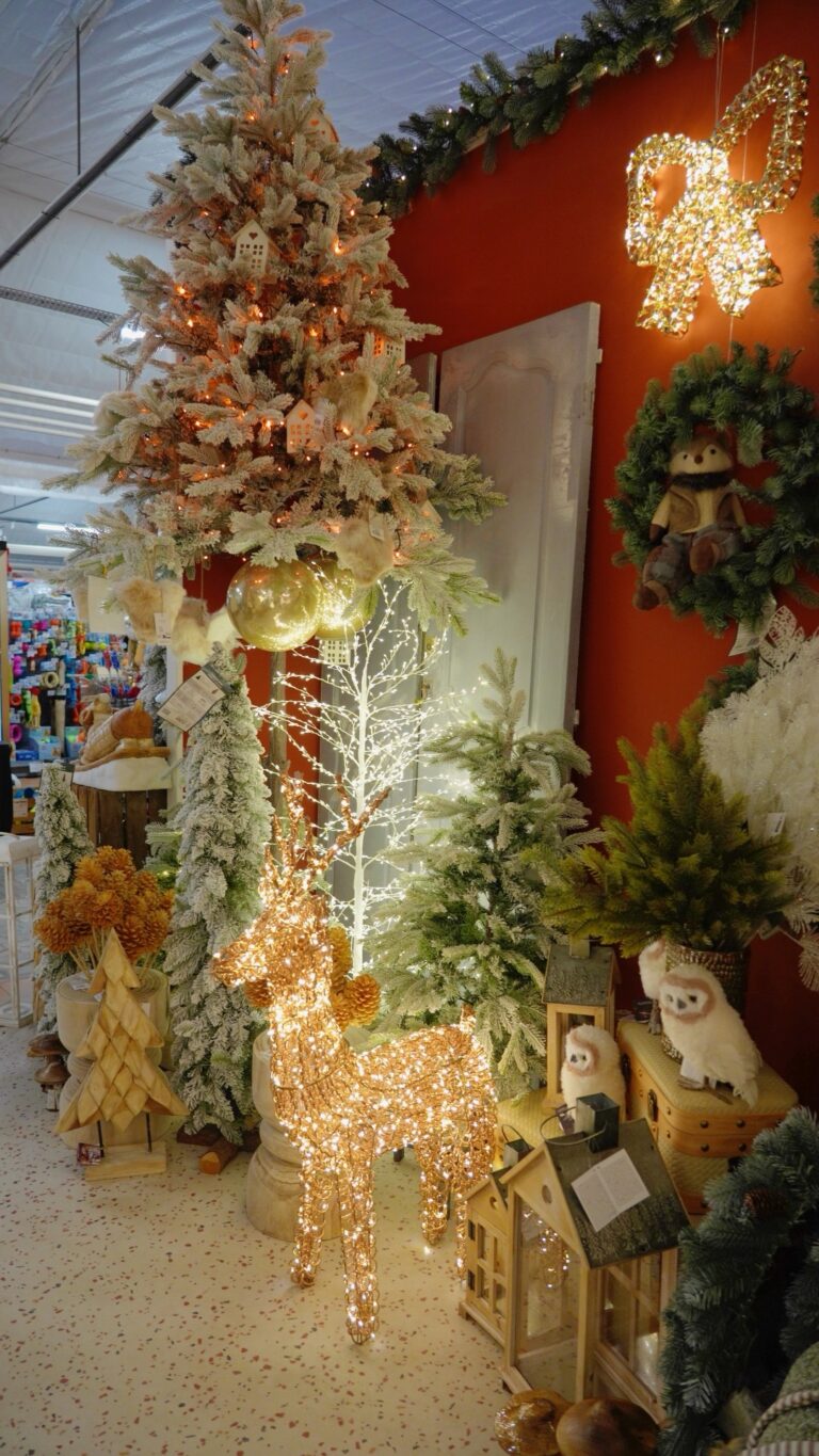 Décoration de Noël chez Tropic Plantes à Caveirac
