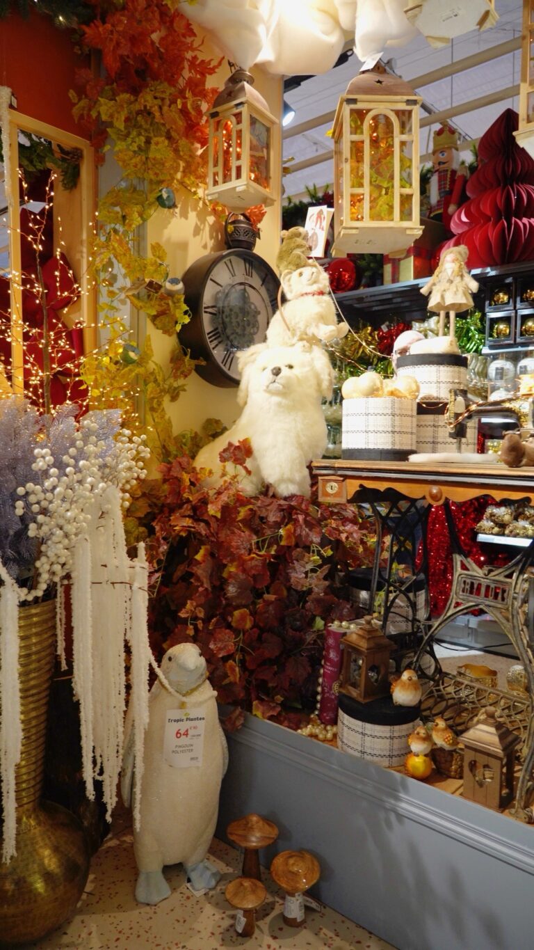 Décoration de Noël chez Tropic Plantes à Caveirac