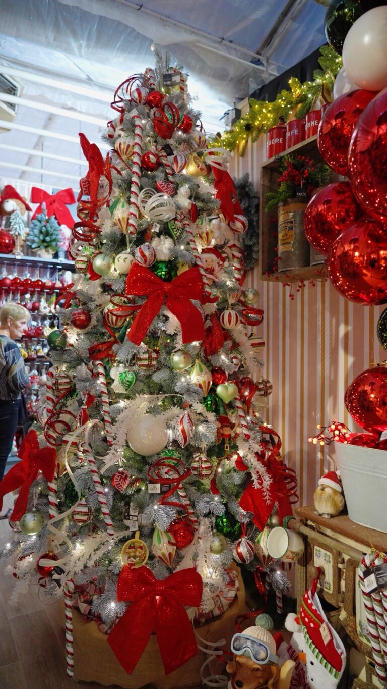 Décoration de Noël chez Tropic Plantes à Caveirac