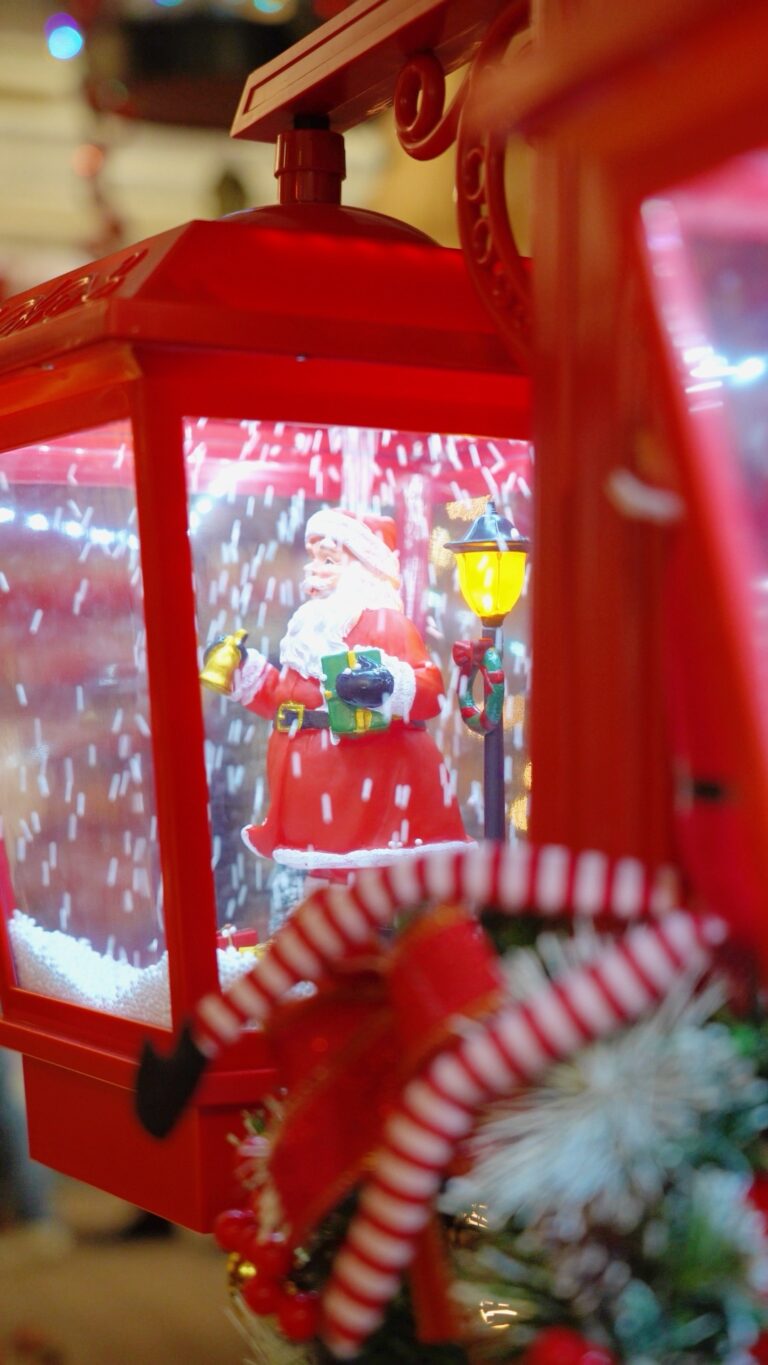 Décoration de Noël chez Tropic Plantes à Caveirac