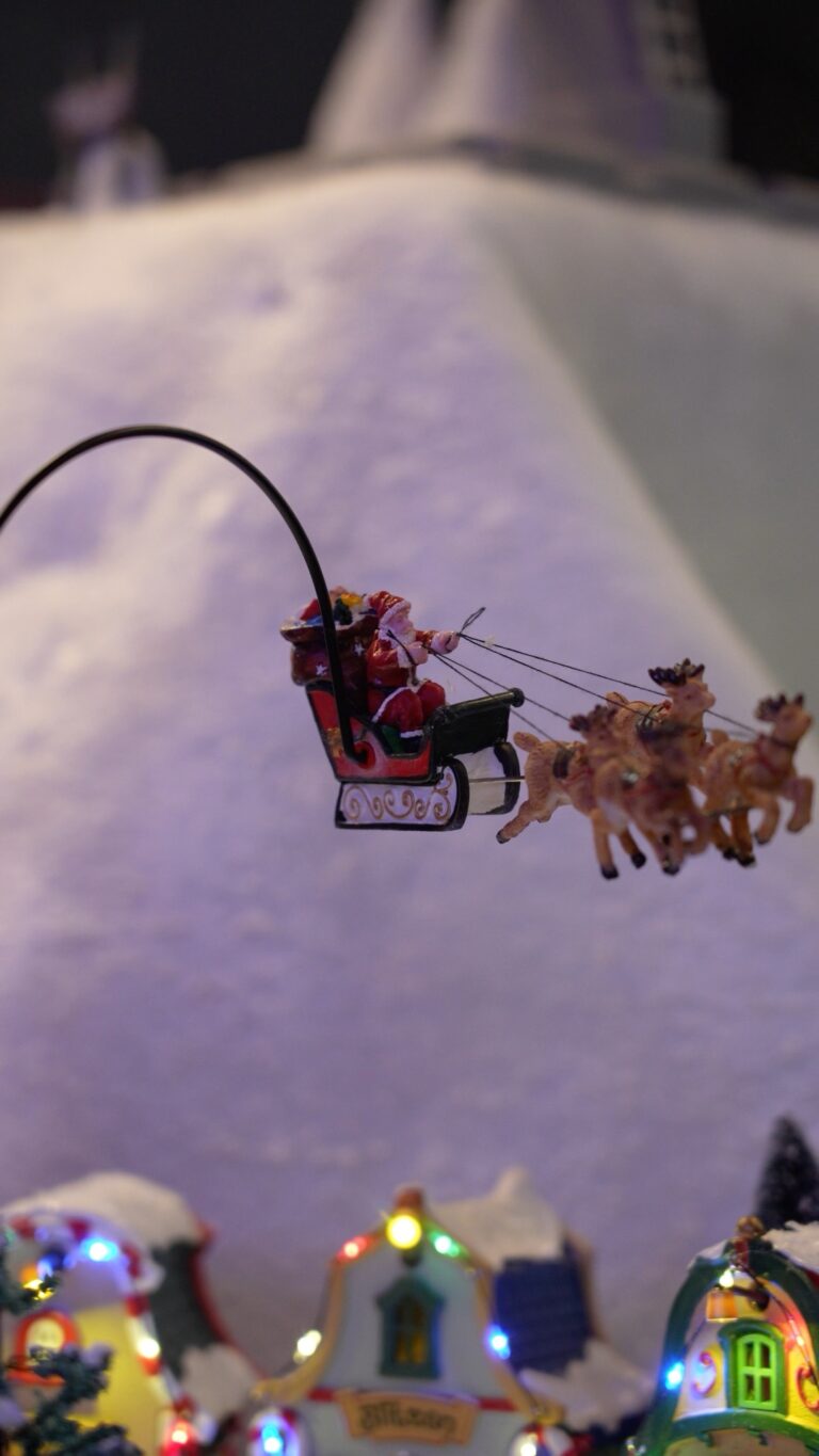 Décoration de Noël chez Tropic Plantes à Caveirac